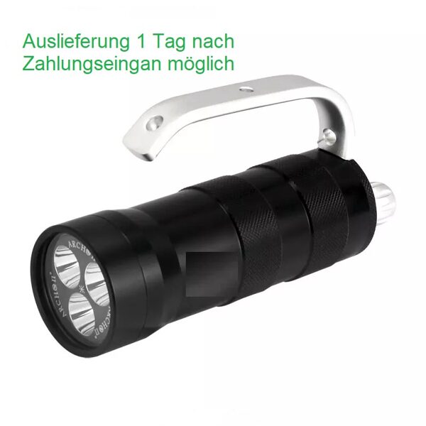 Tauchlampe ähnlich wie Riff TL S2 mit Akku und Ladegerät 220V